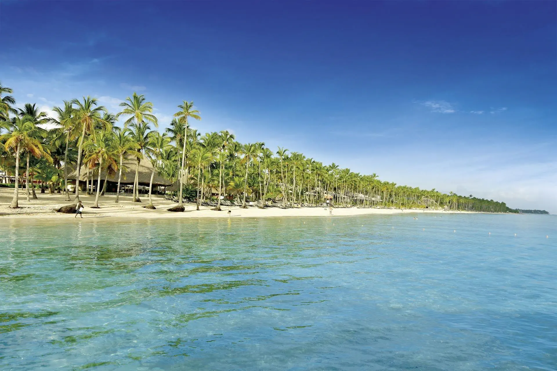 Barcelo Bavaro Palace - zdjęcie 49