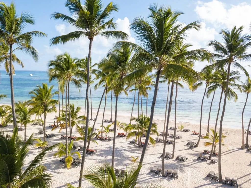 Barcelo Bavaro Palace - zdjęcie 50