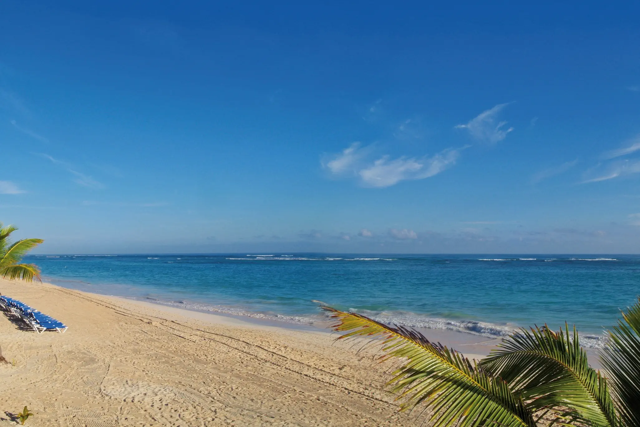 Bahia Principe Grand Punta Cana - zdjęcie 111