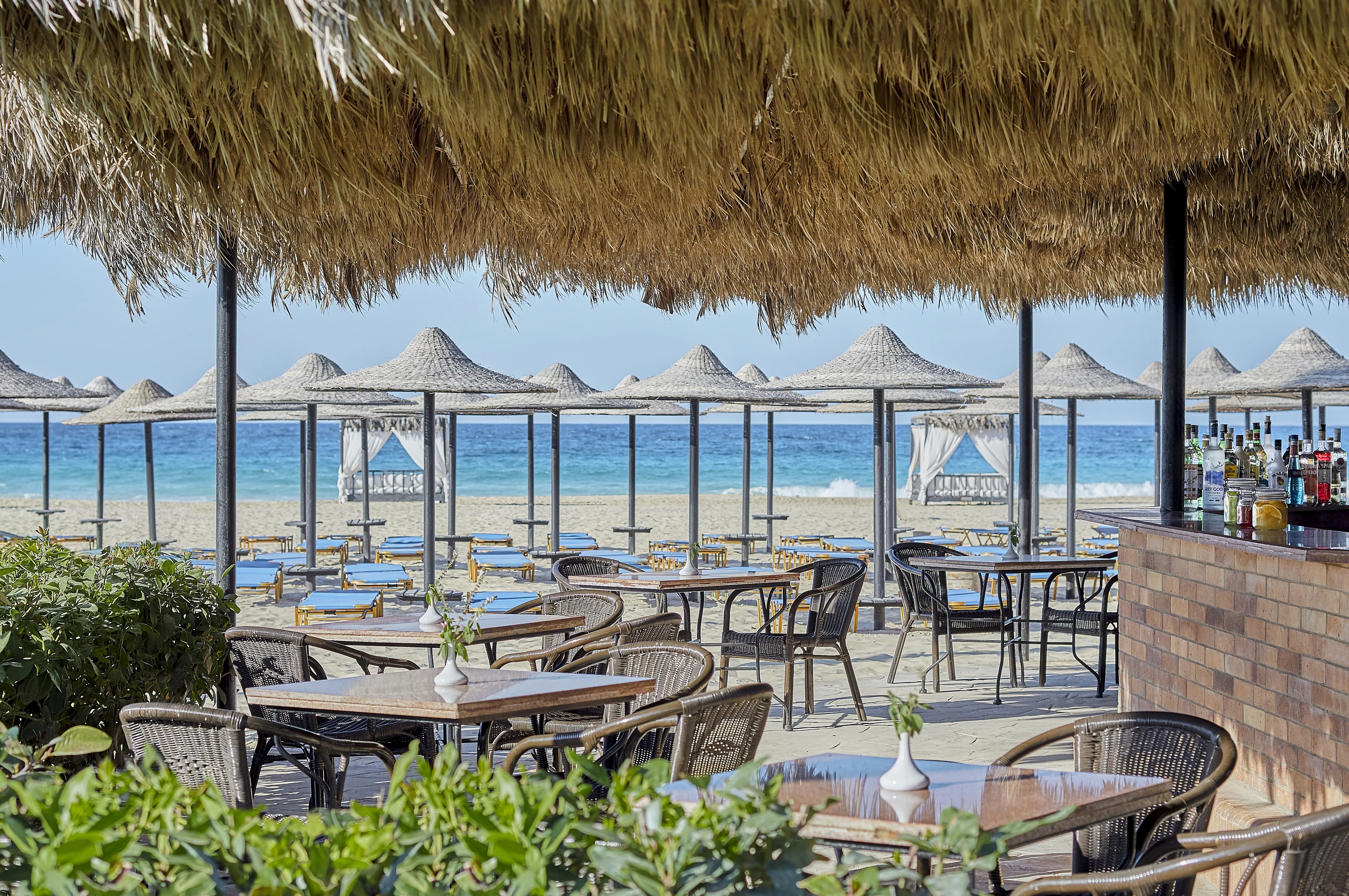 Jaz Almaza Beach - zdjęcie 20