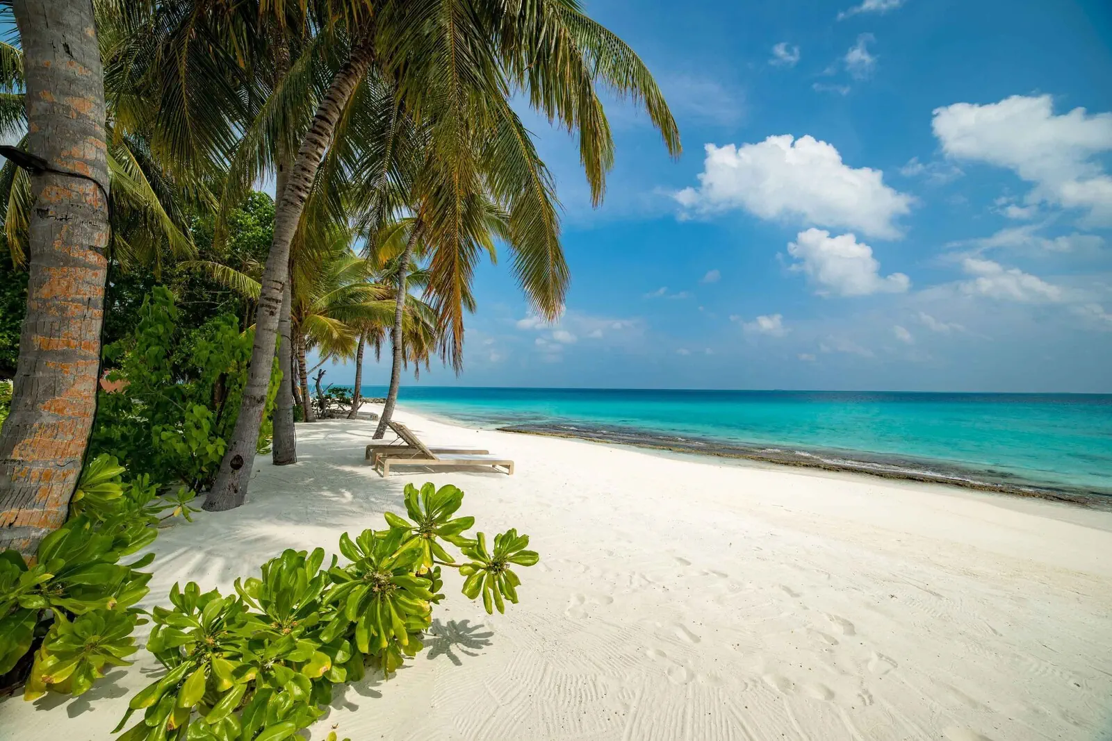 Fiyavalhu Maldives - zdjęcie 43