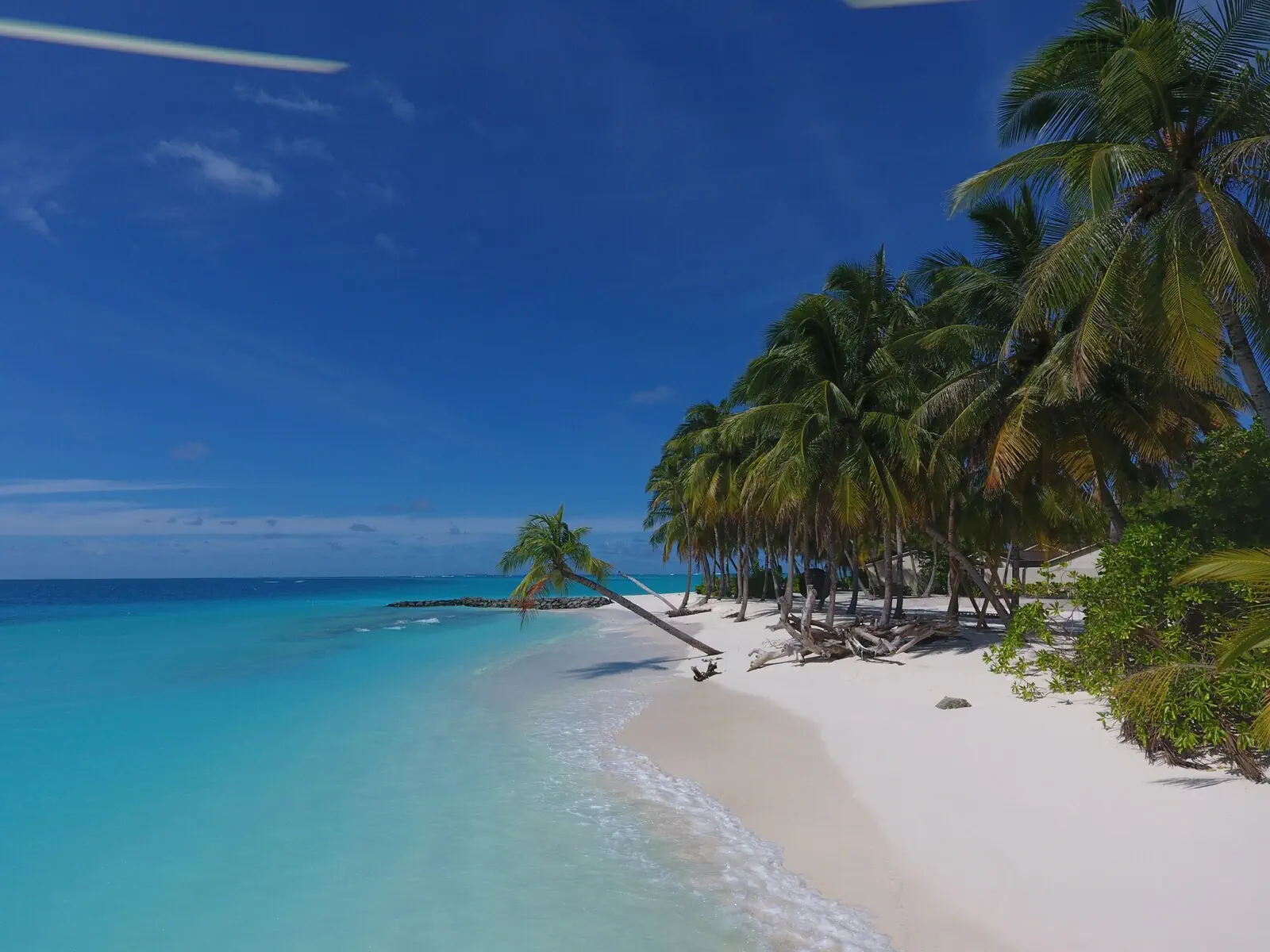 Fiyavalhu Maldives - zdjęcie 42