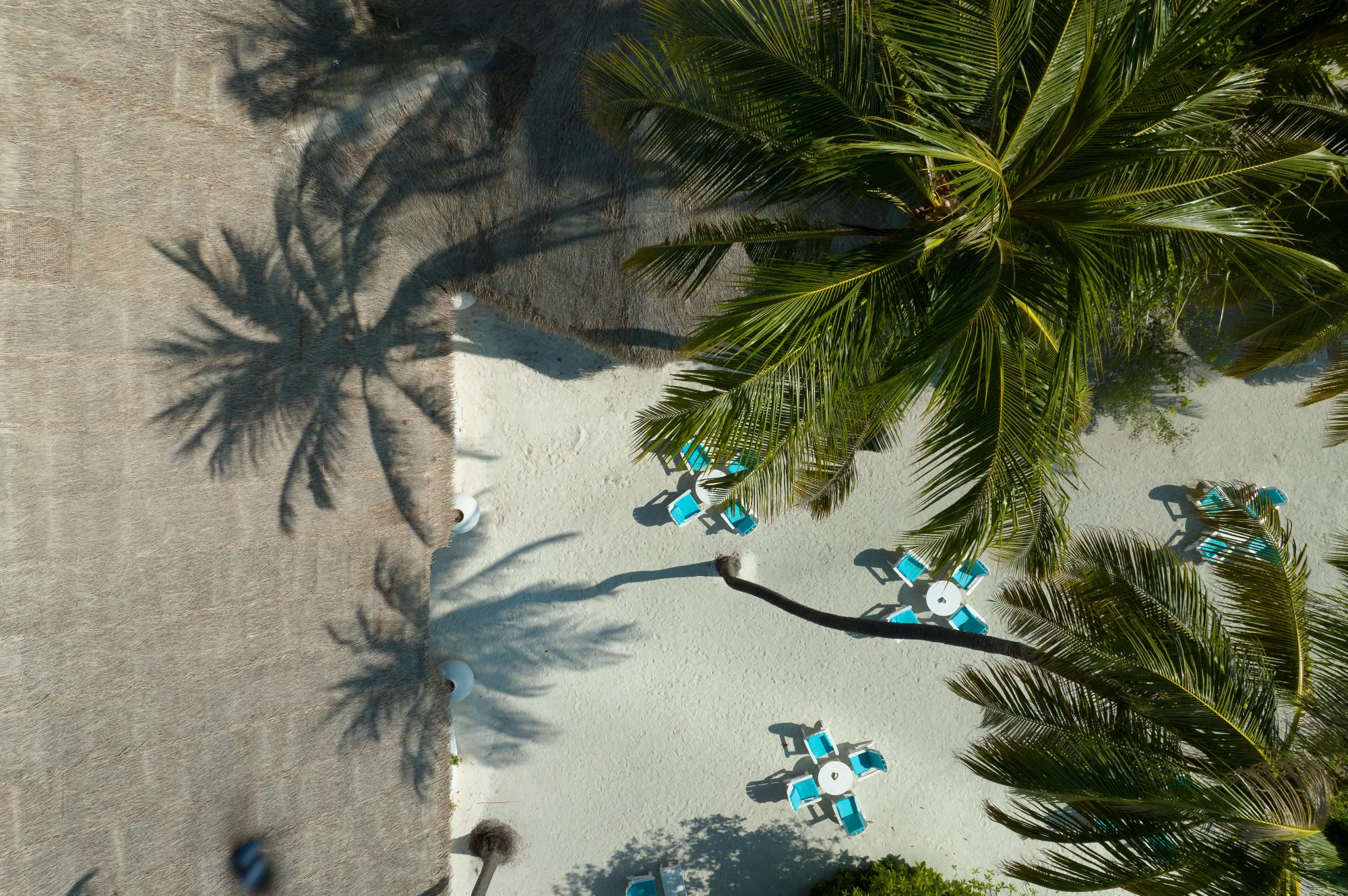 Rihiveli Maldives - zdjęcie 40