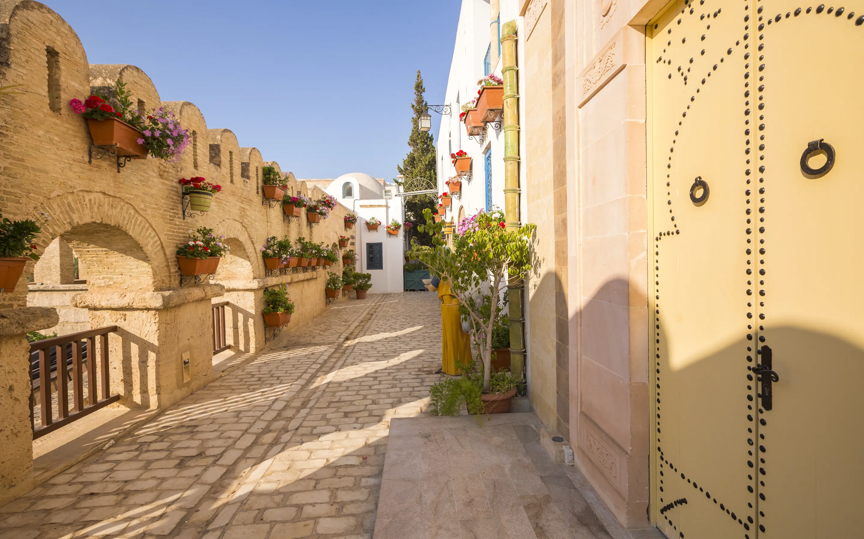 Medina Diar Lemdina photo 3