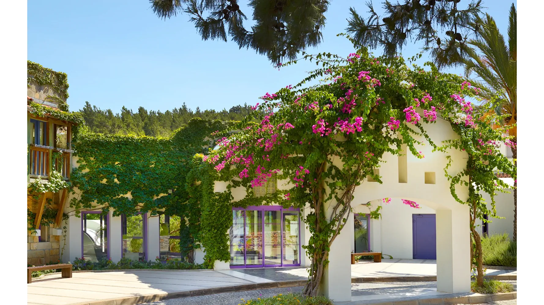 Hapimag Resort Sea Garden - zdjęcie 9
