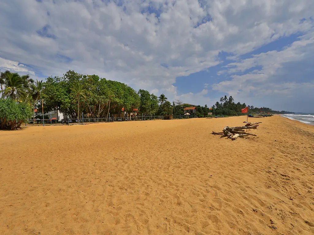 HIBISCUS BEACH HOTEL