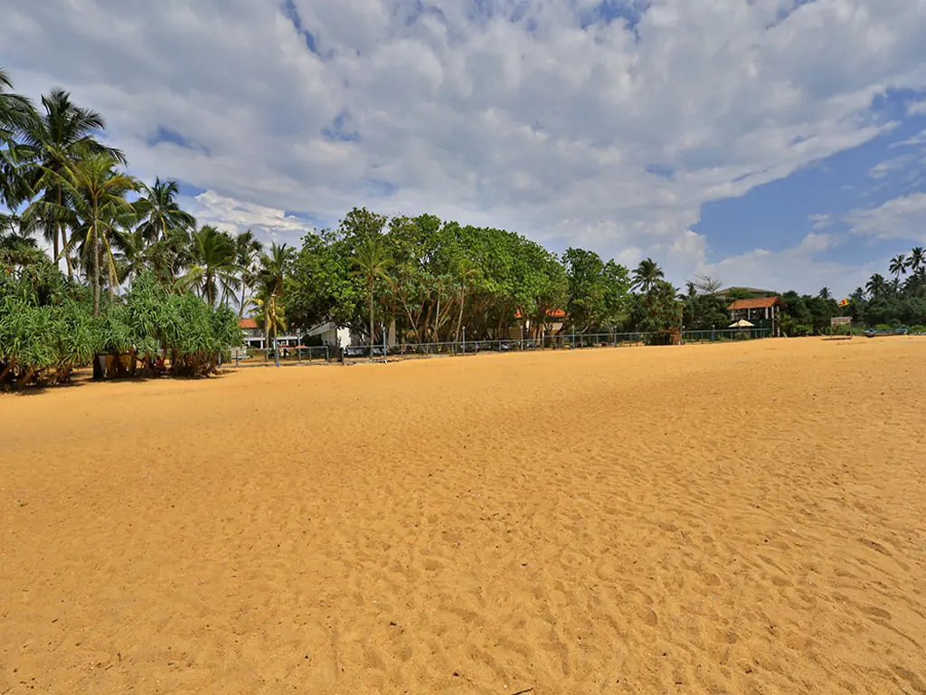 HIBISCUS BEACH HOTEL
