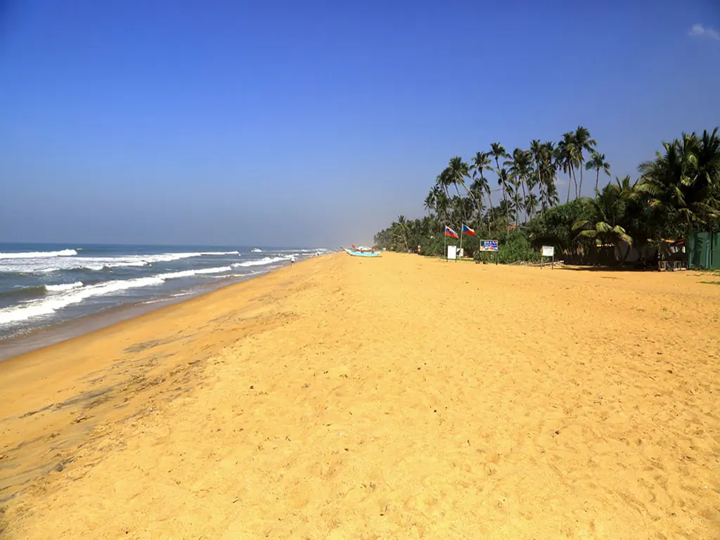 HIBISCUS BEACH HOTEL