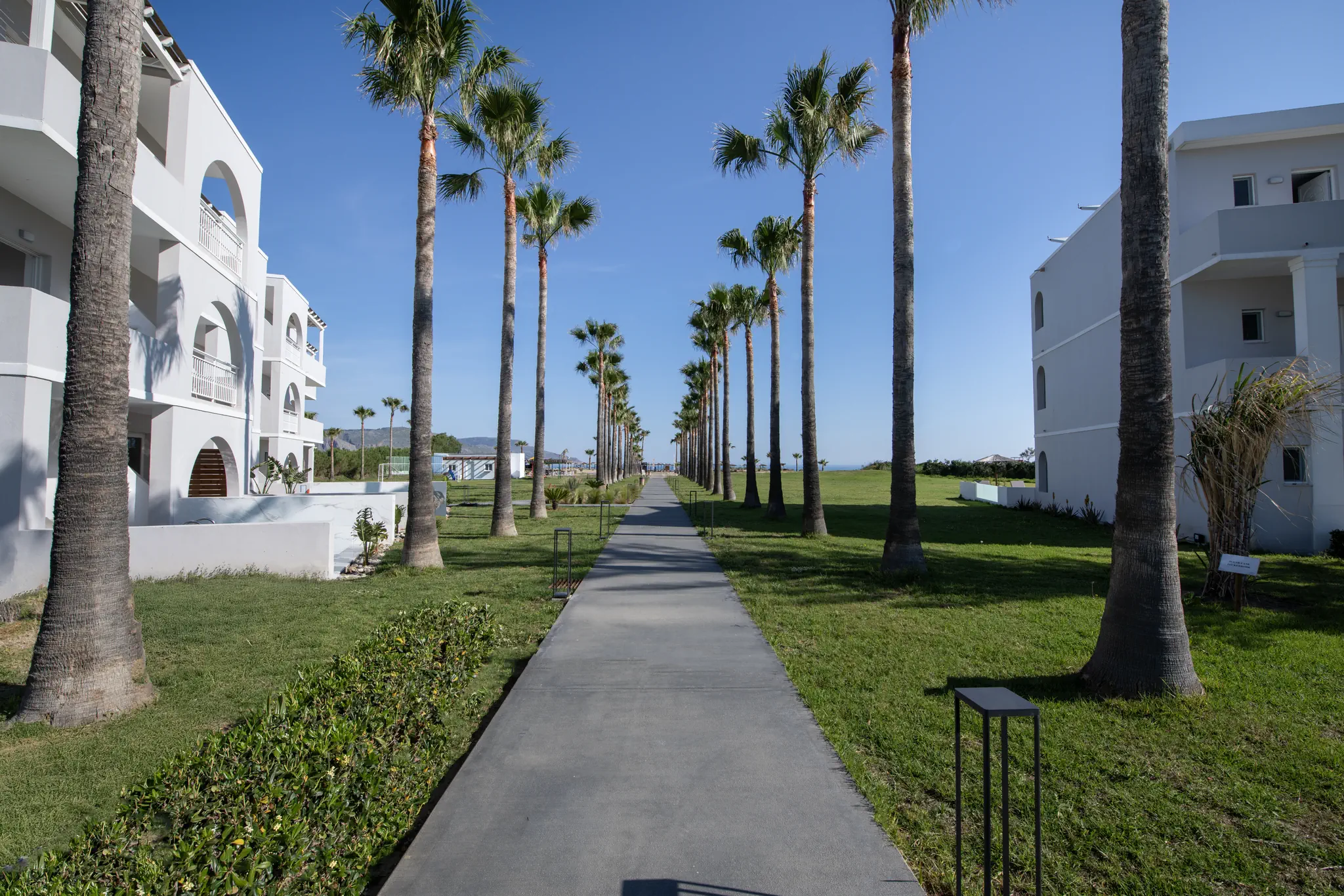 Delfina Tropic Beach - zdjęcie 8