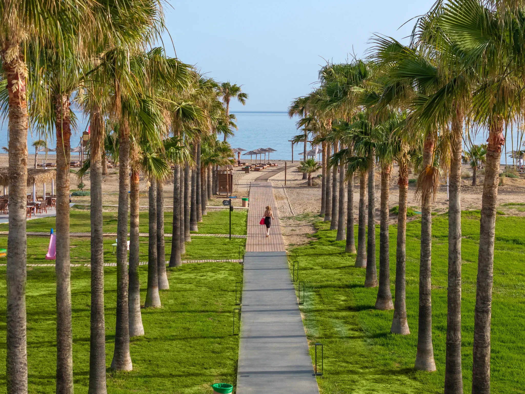 Delfina Tropic Beach - zdjęcie 58