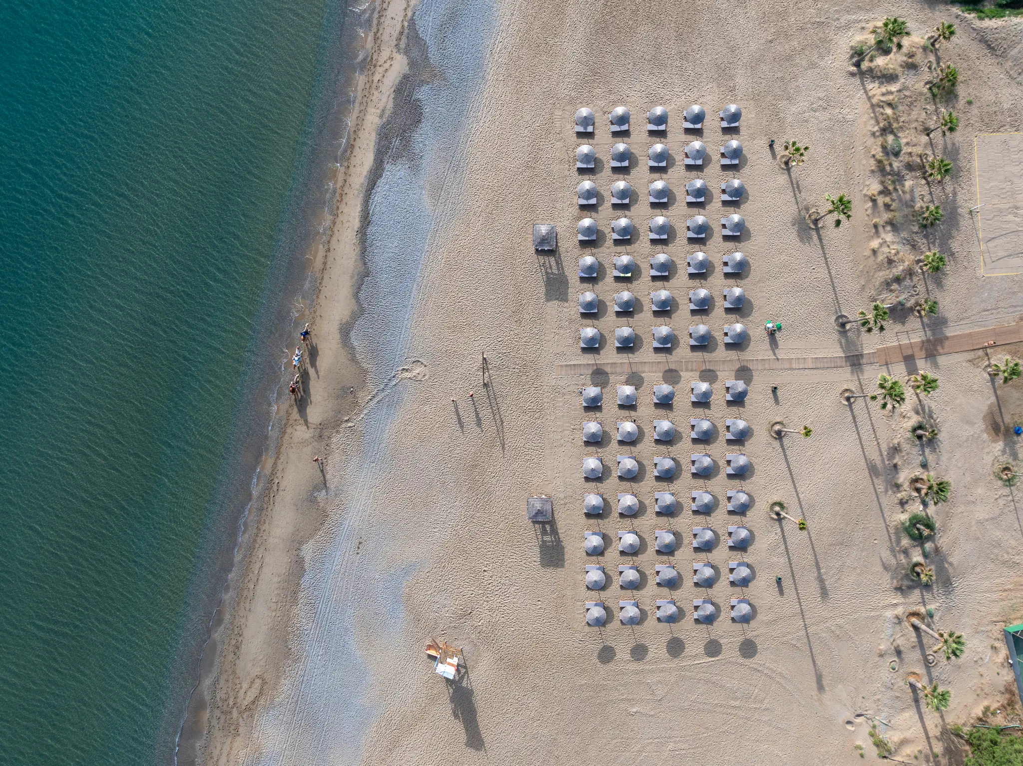 Delfina Tropic Beach - zdjęcie 59