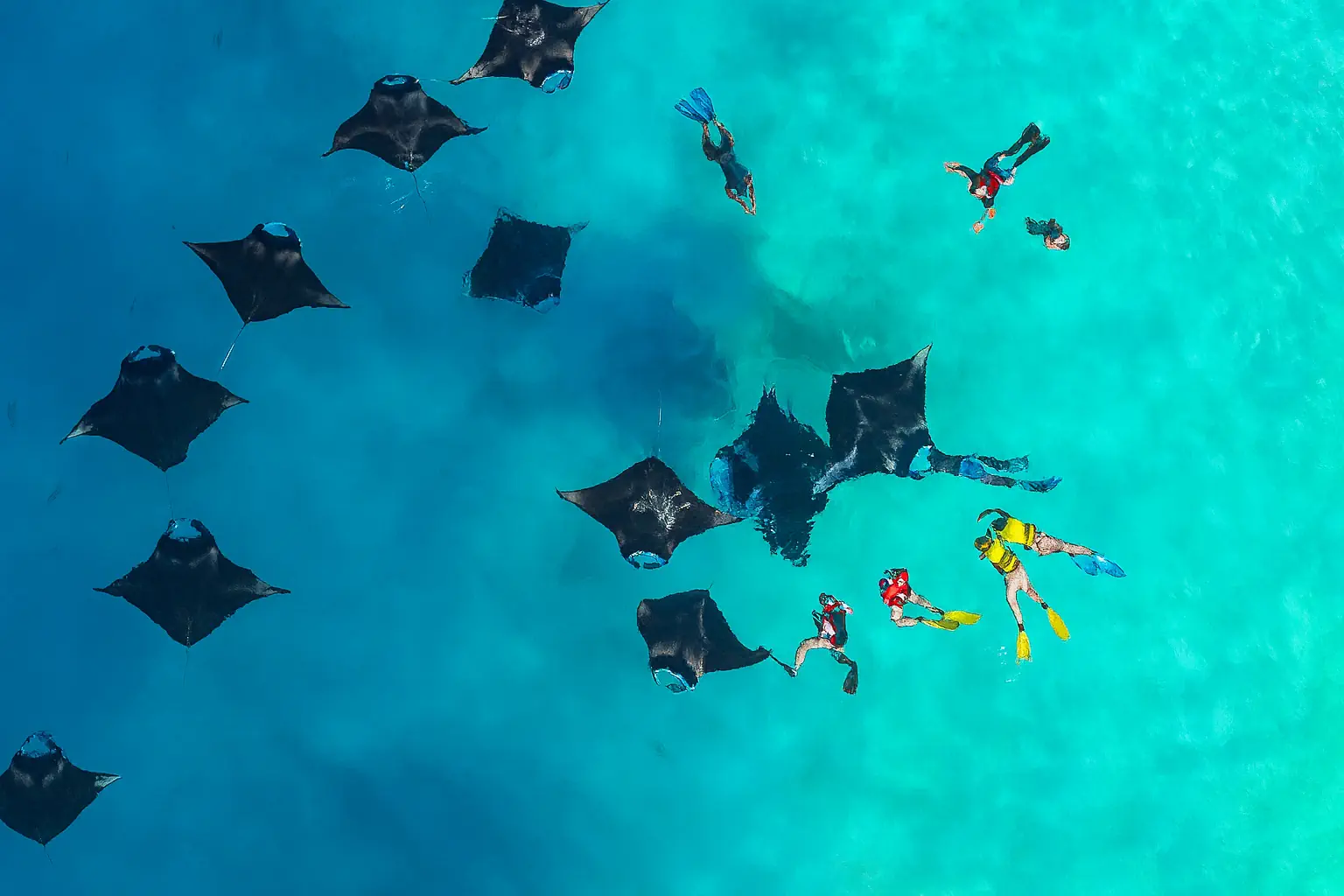 SWARN BY HAWKS HOTELS KAMADHOO BAA ATOLL