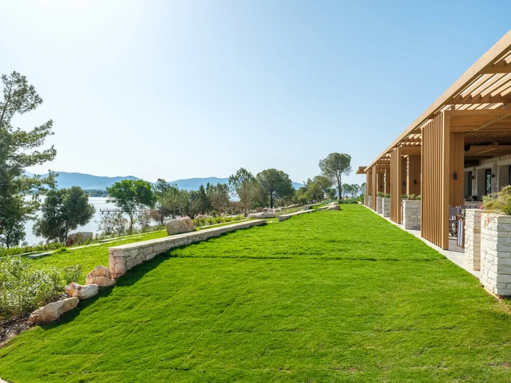 Anda Barut Collection - zdjęcie 209
