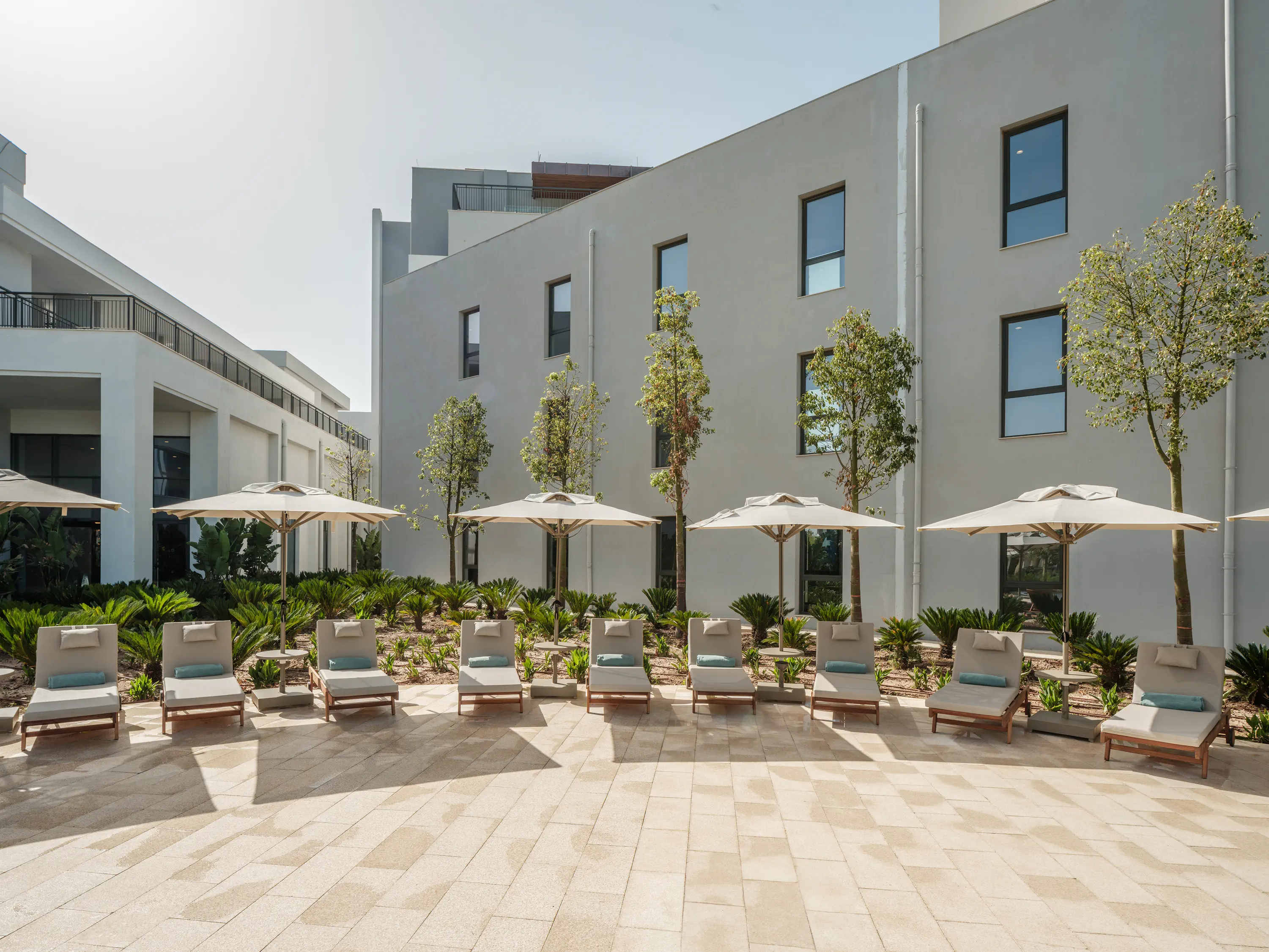 Anda Barut Collection - zdjęcie 260