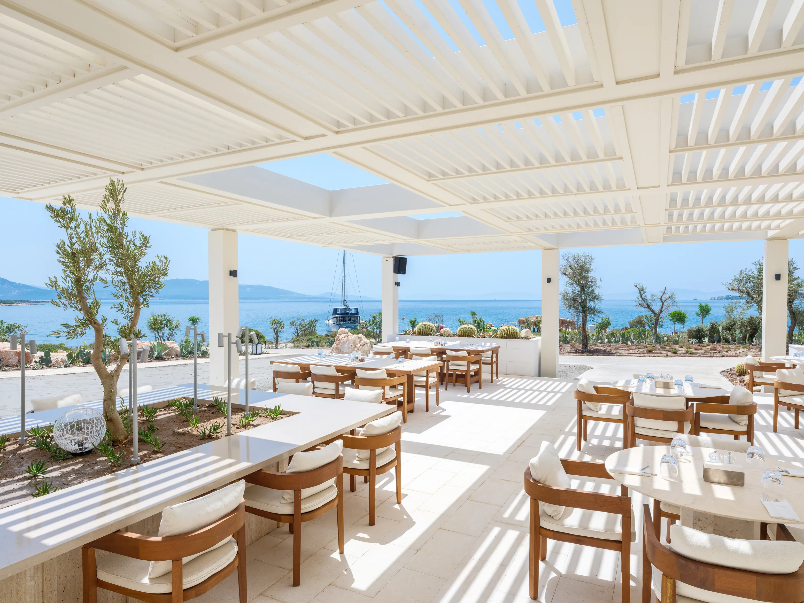 Anda Barut Collection - zdjęcie 216