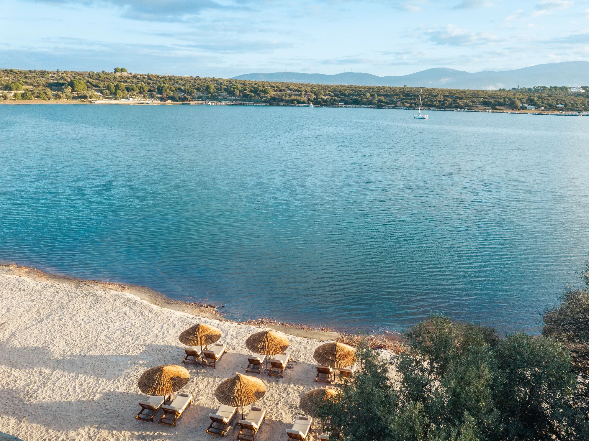 Anda Barut Collection - zdjęcie 273