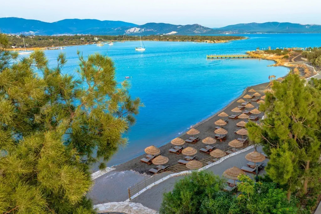 Anda Barut Collection - zdjęcie 277
