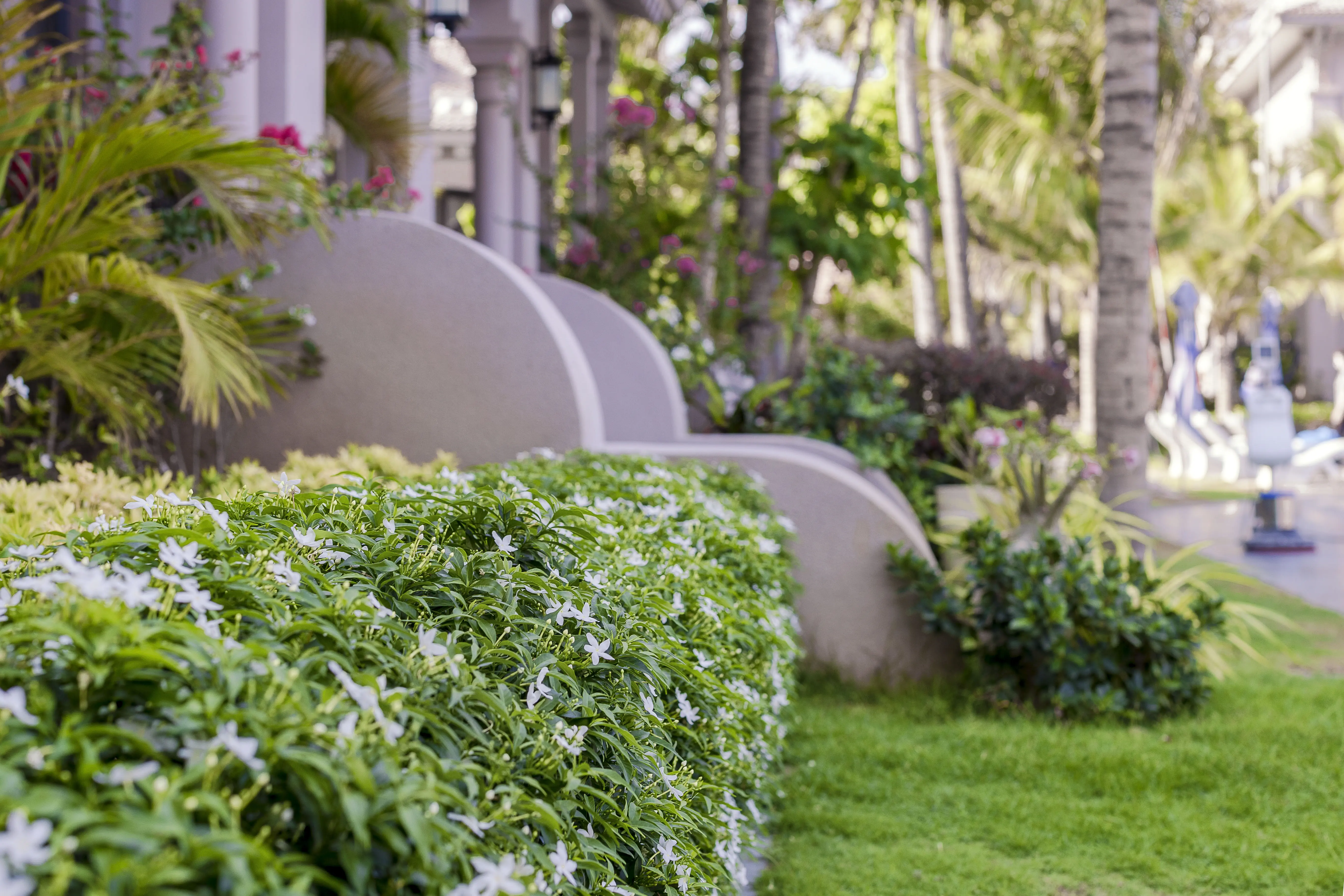 LE VIVA RESORT MUI NE
