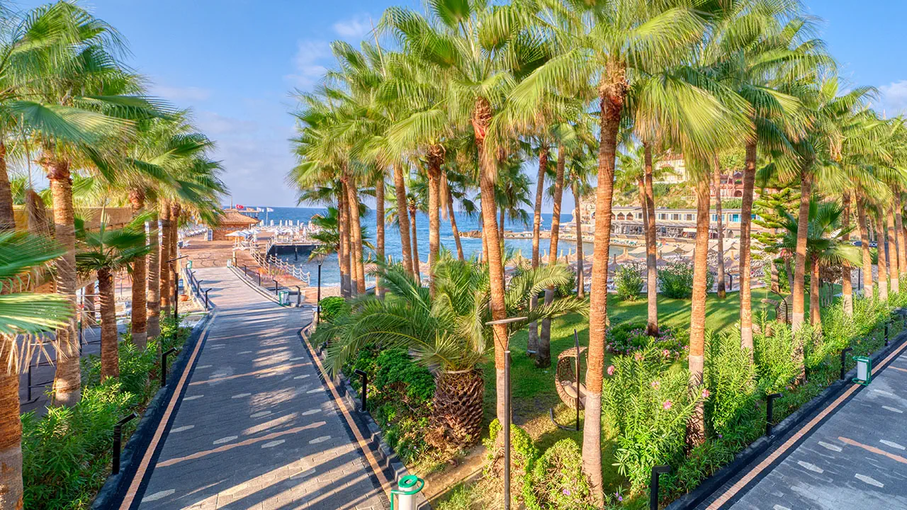 Seven Seas Palmeras Bay - zdjęcie 119