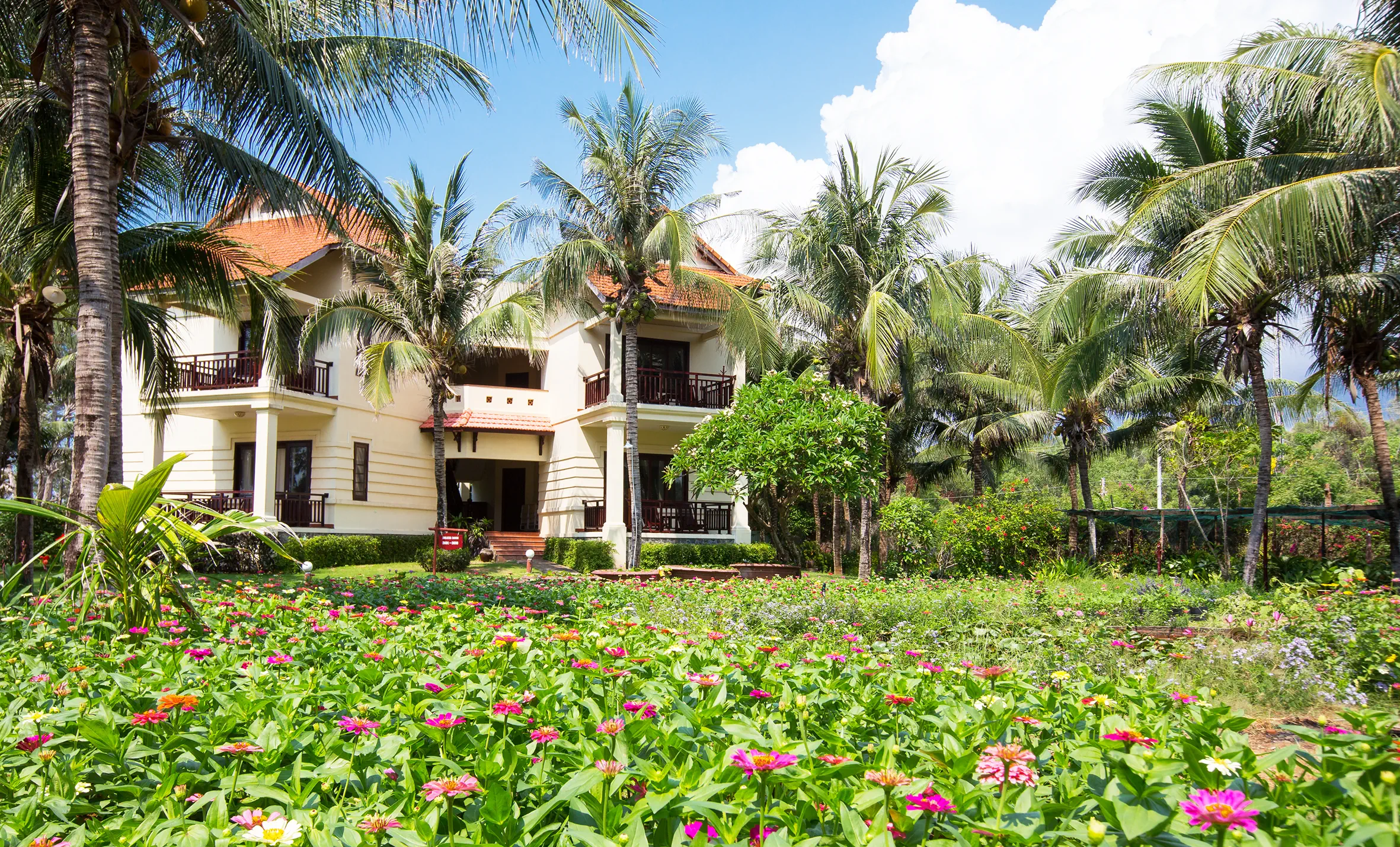 Golden Coast Resort & Spa - zdjęcie 8