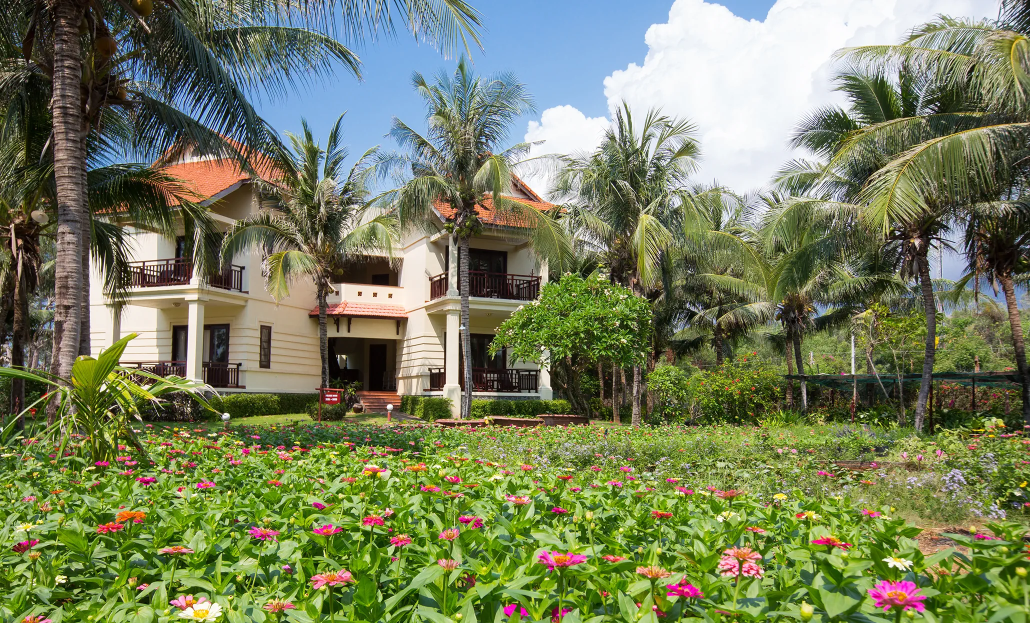 Golden Coast Resort & Spa - zdjęcie 50