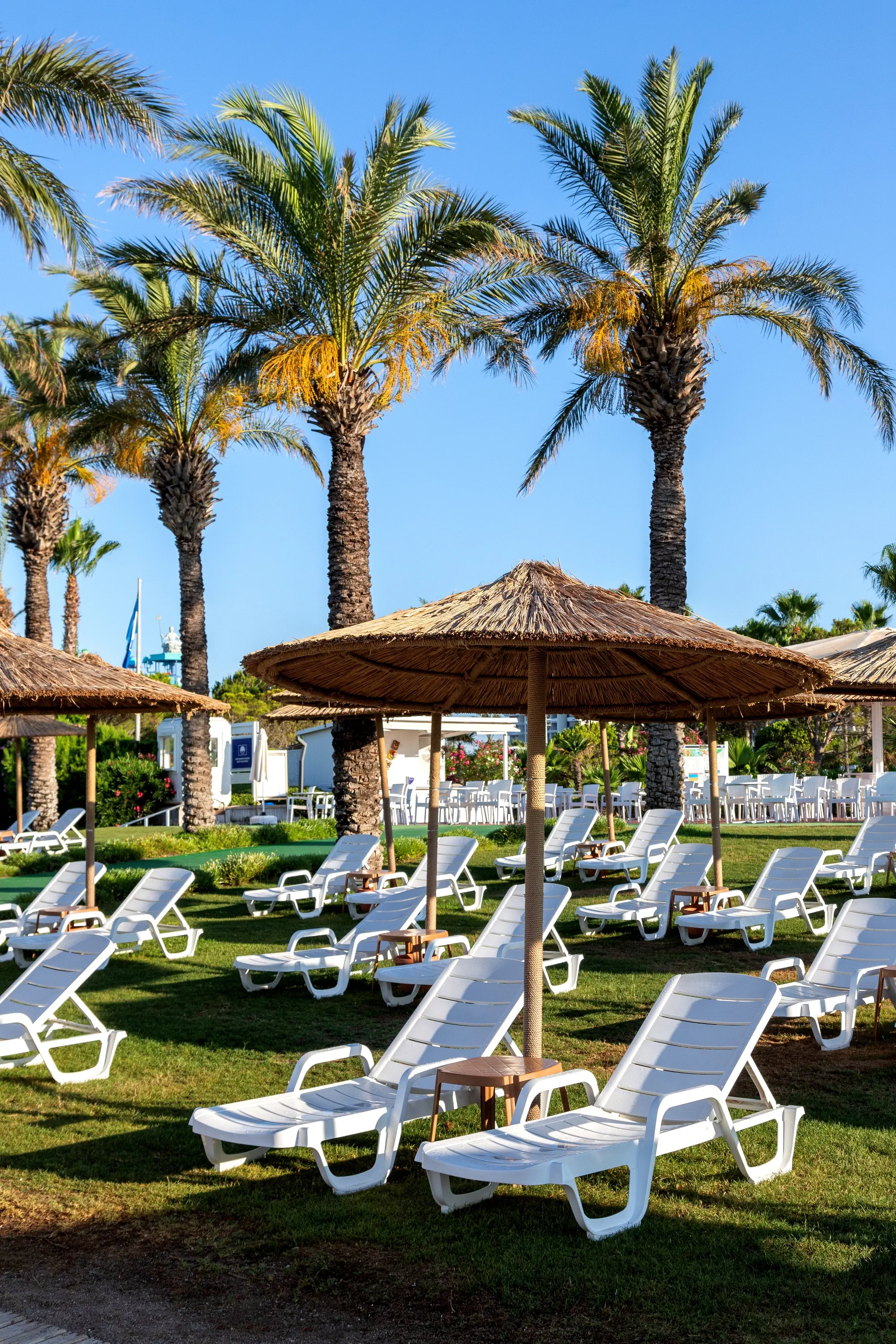 Miracle Resort - zdjęcie 107