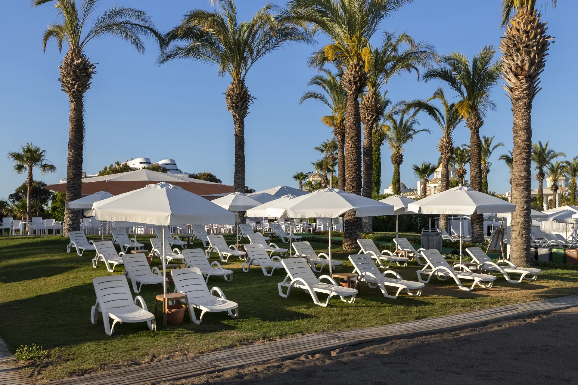 Miracle Resort - zdjęcie 103