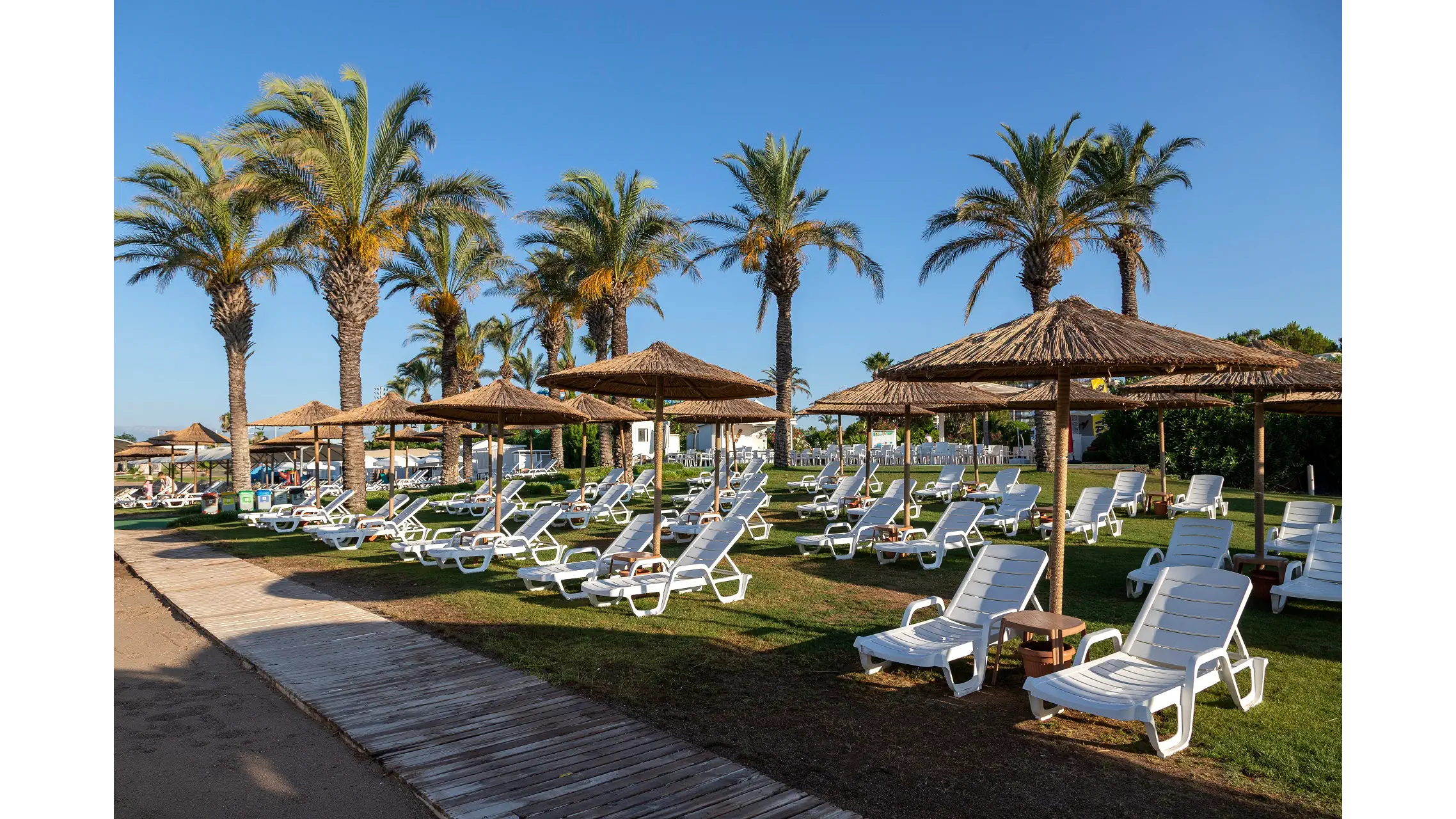 Miracle Resort - zdjęcie 111