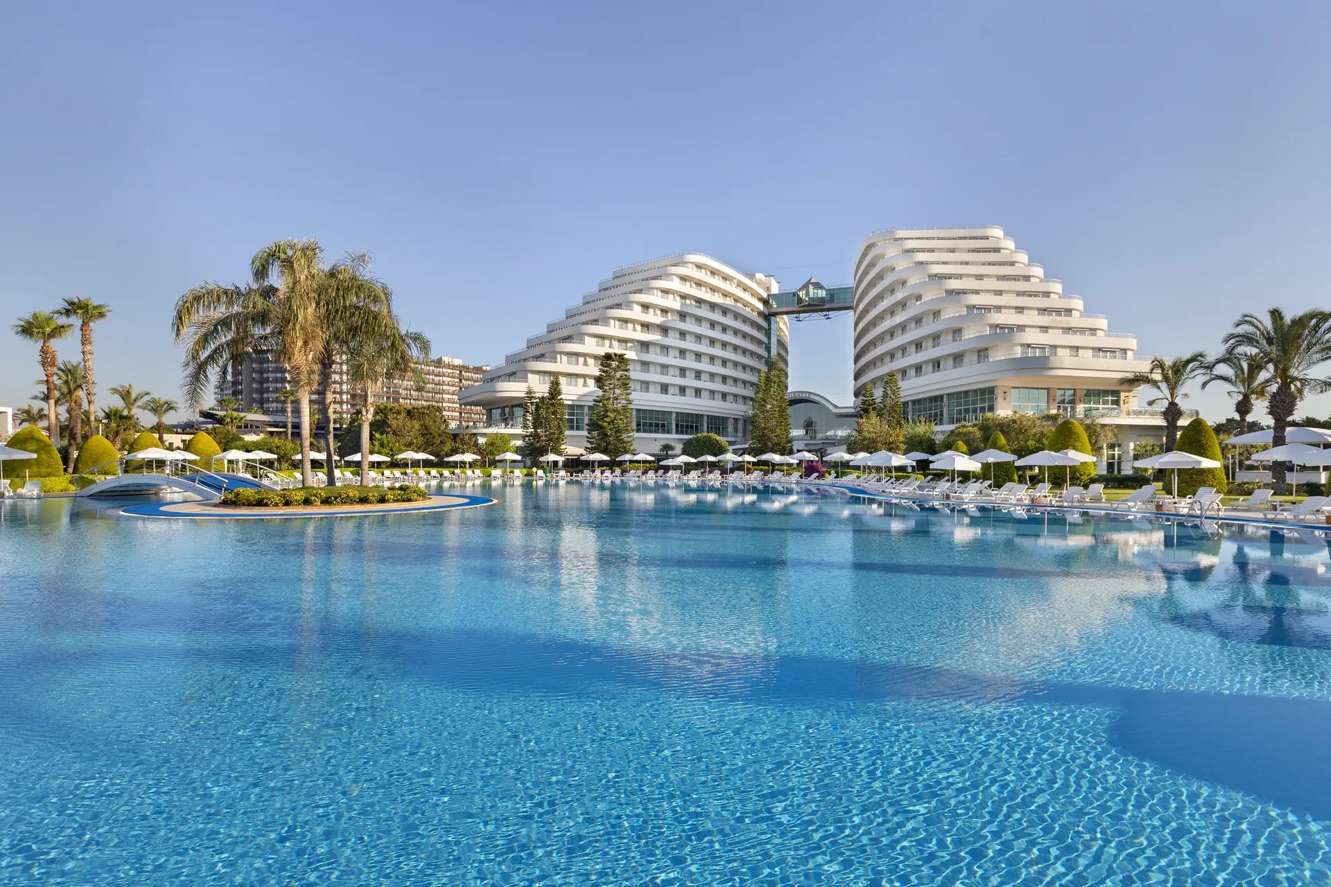 Miracle Resort - zdjęcie 76