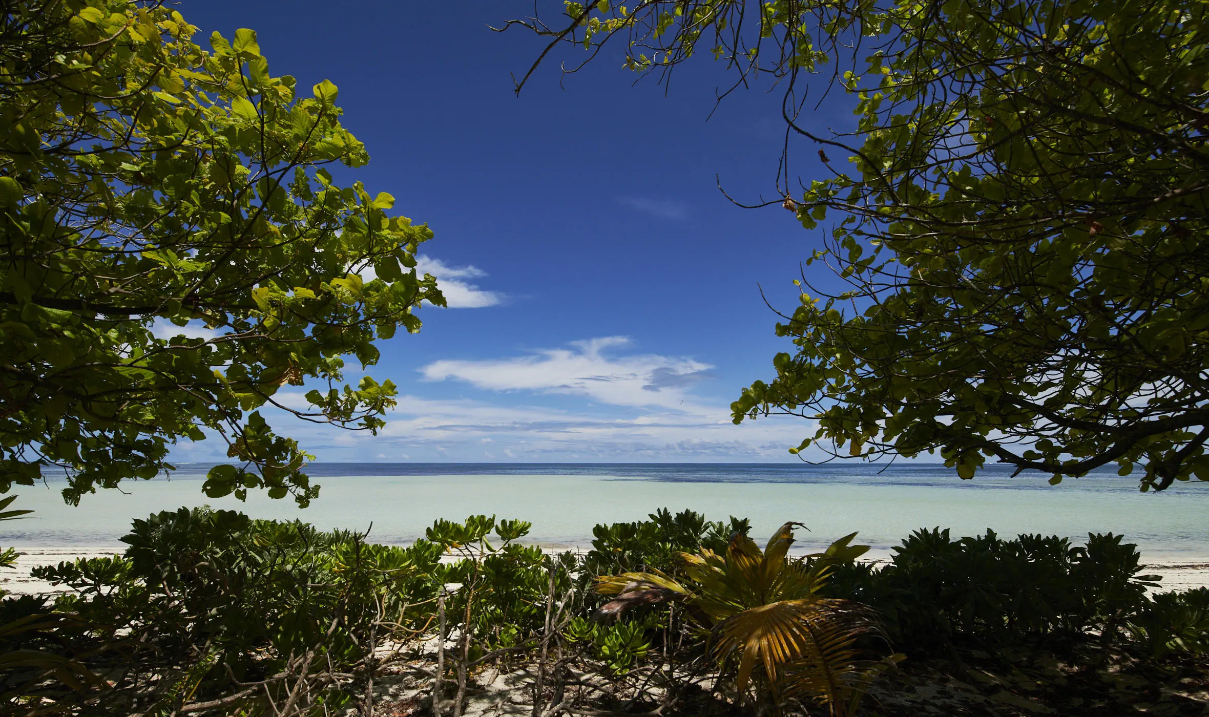 CANOPY BY HILTON SEYCHELLES
