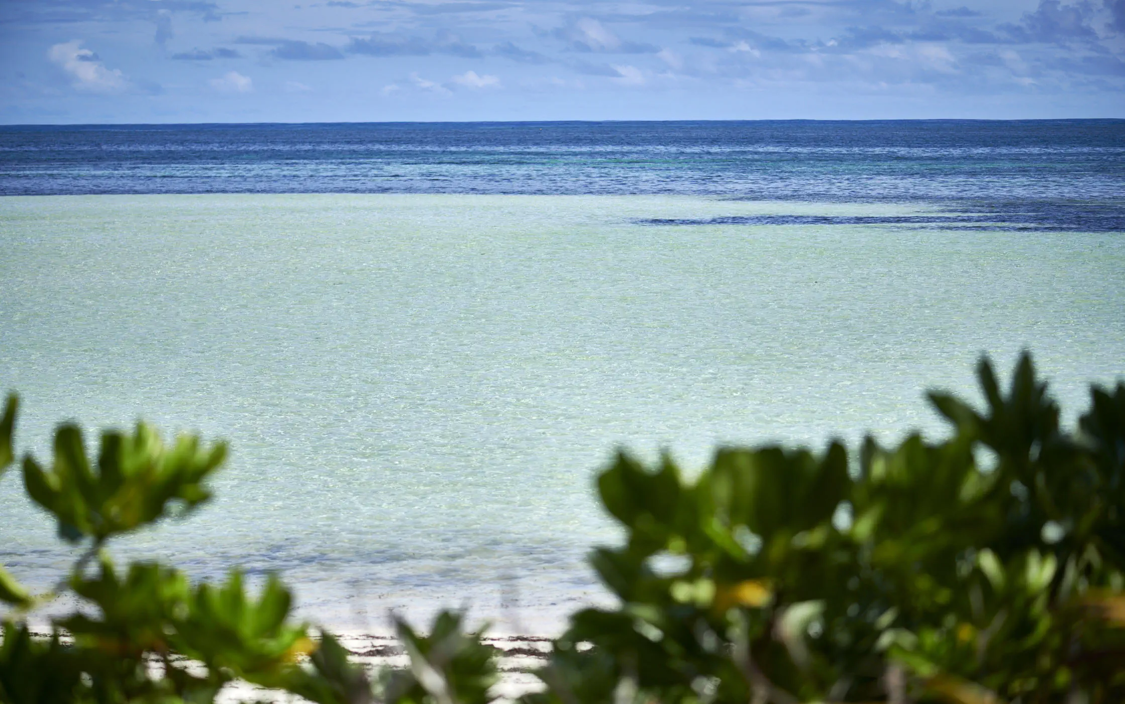 CANOPY BY HILTON SEYCHELLES