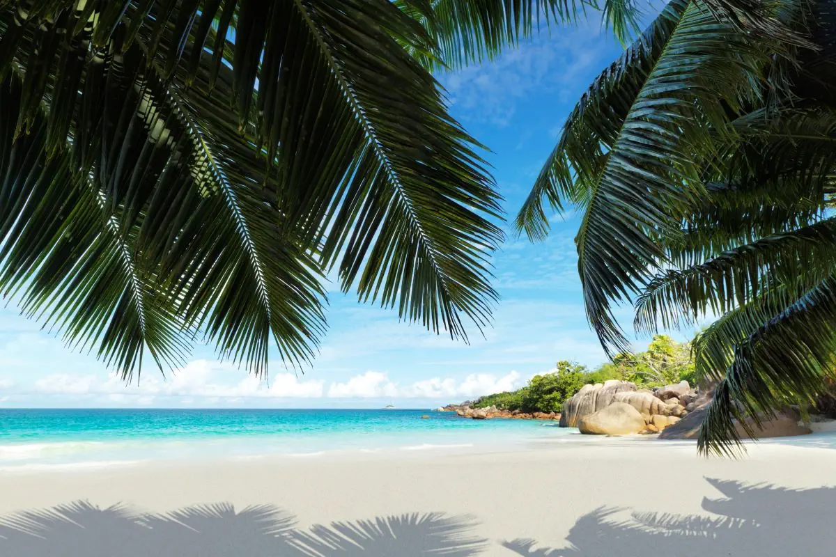 Raffles Seychelles - zdjęcie 43