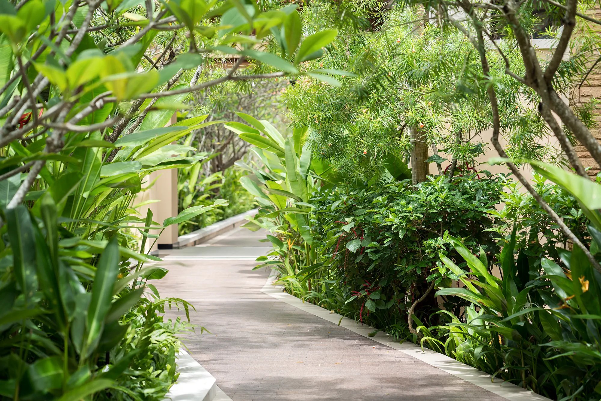 Movenpick Bangtao Beach - zdjęcie 8
