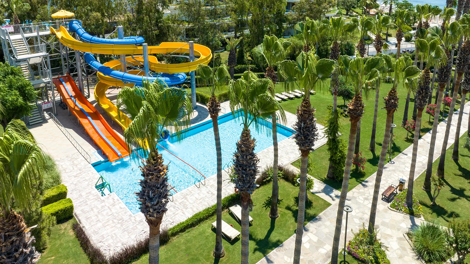 Arum Barut - zdjęcie 101