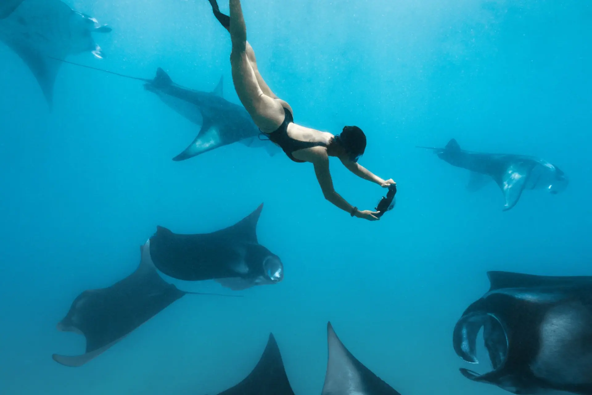 VAALI ISLAND ESCAPES & DIVE, FELIDHOO
