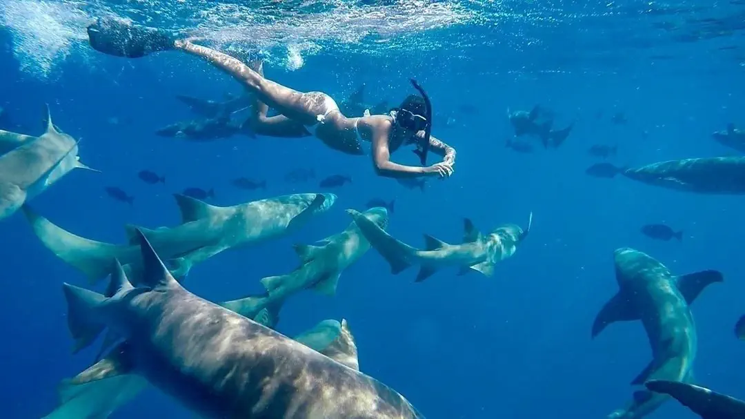 VAALI ISLAND ESCAPES & DIVE, FELIDHOO
