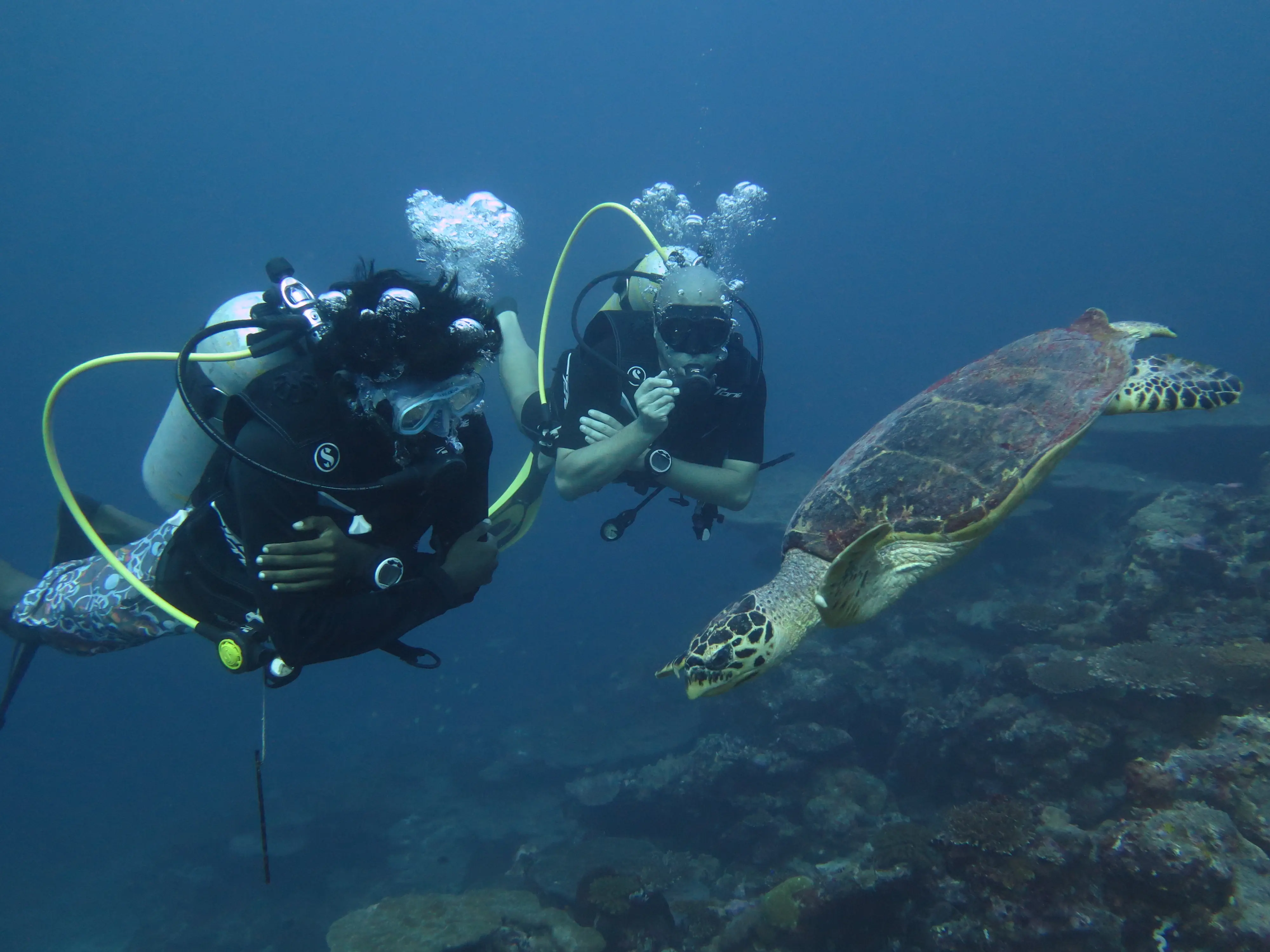 VAALI ISLAND ESCAPES & DIVE, FELIDHOO