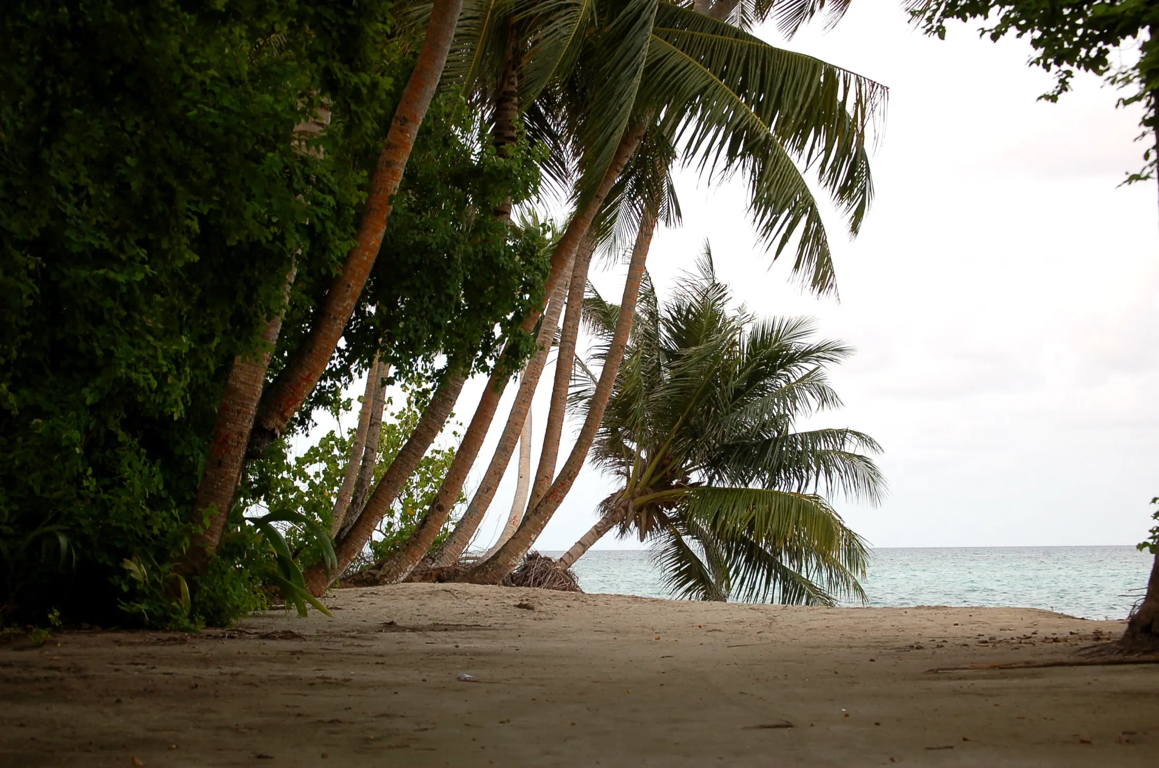 VAALI ISLAND ESCAPES & DIVE, FELIDHOO