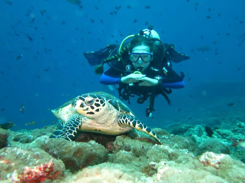 Vaali Maldives - zdjęcie 22