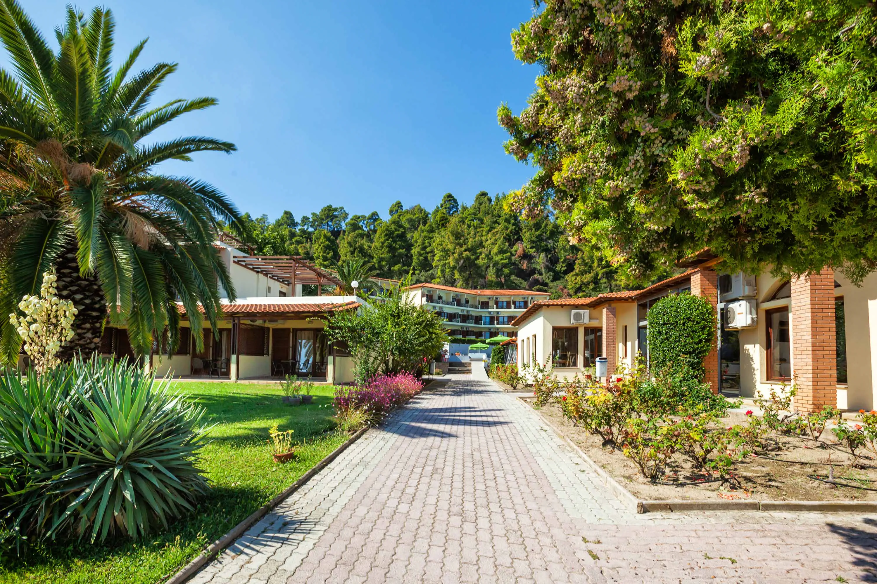 Palladium 4*, фото 7