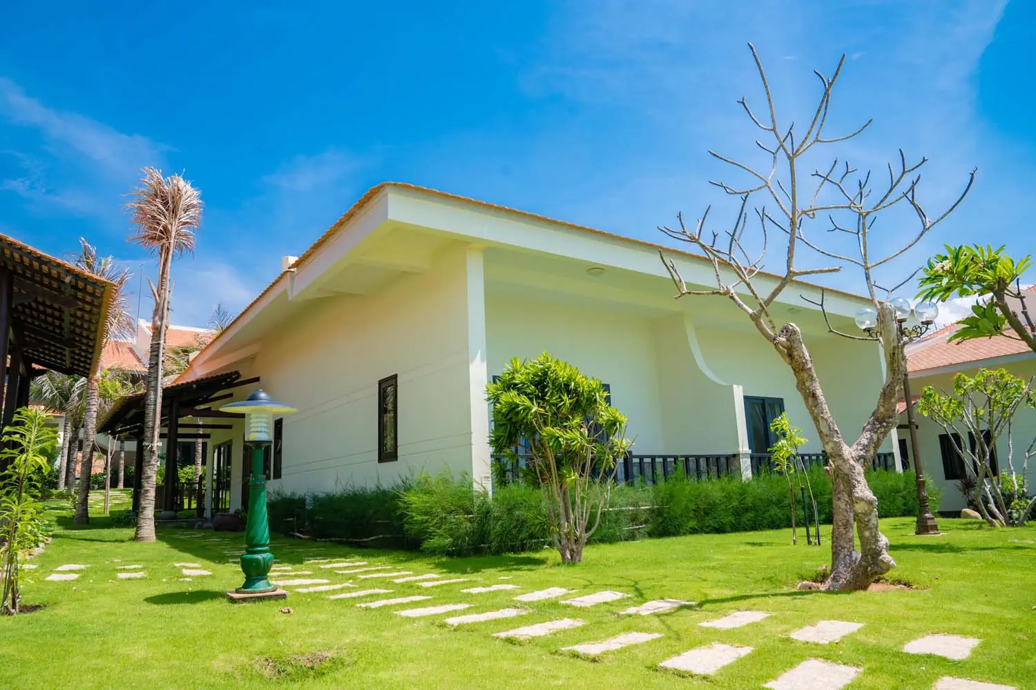 Blooming Lotus Resort - zdjęcie 16