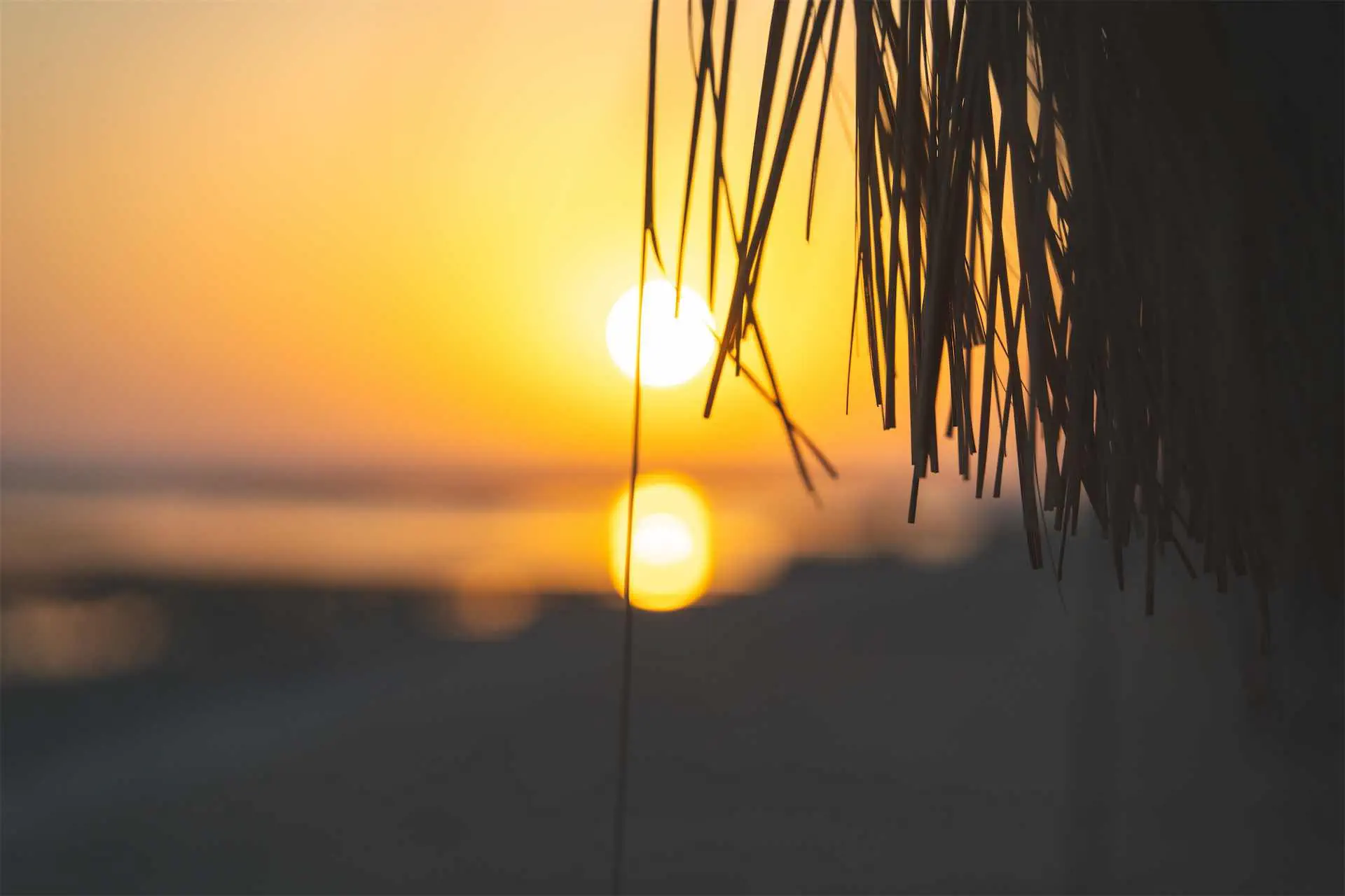 ACEL BEACH RESORT MARSA ALAM