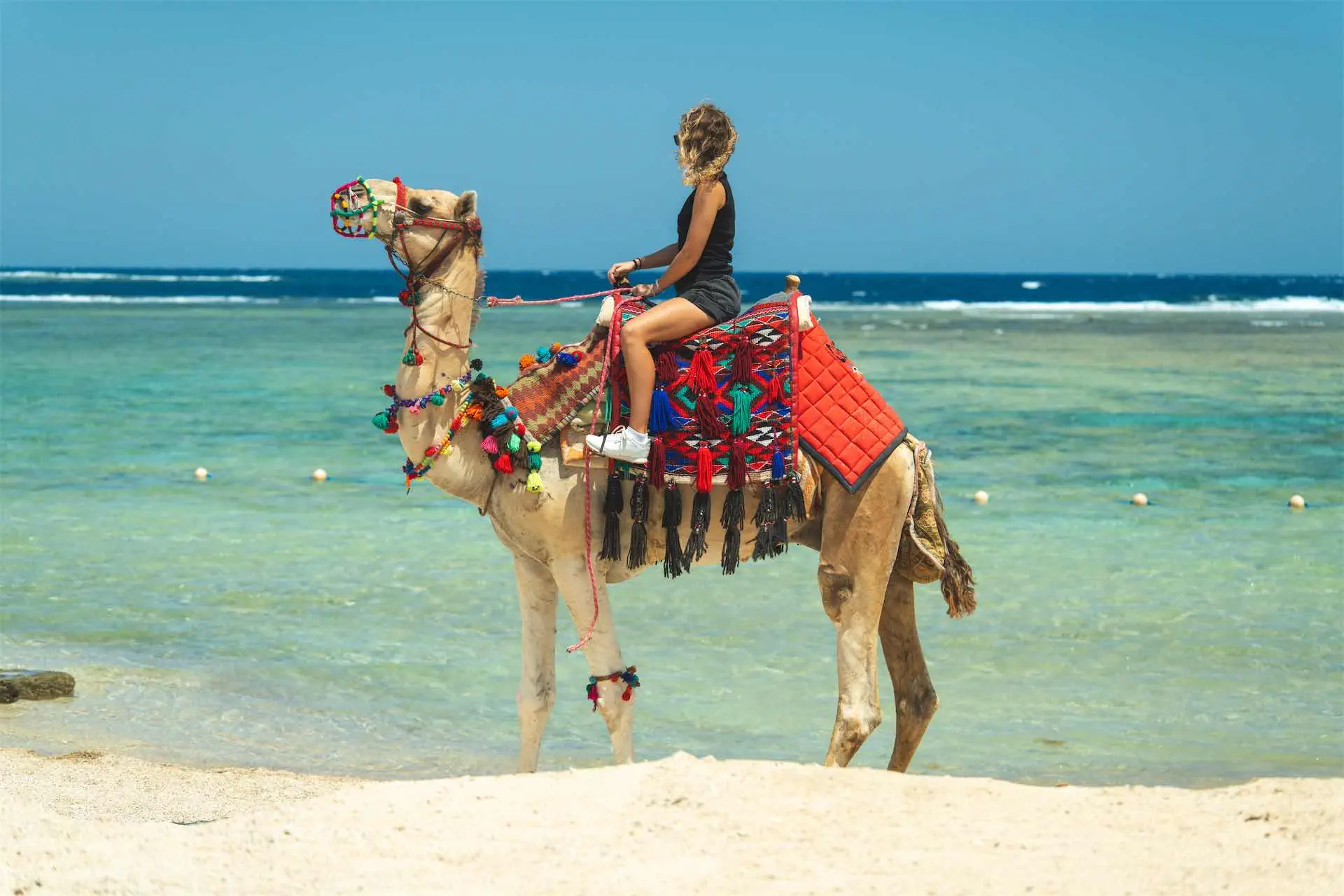 ACEL BEACH RESORT MARSA ALAM