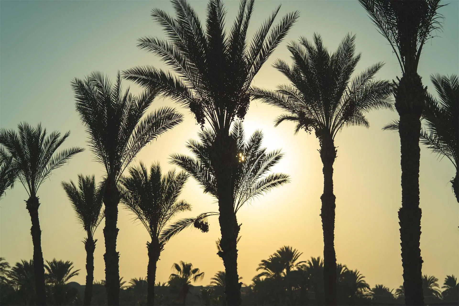 ACEL BEACH RESORT MARSA ALAM