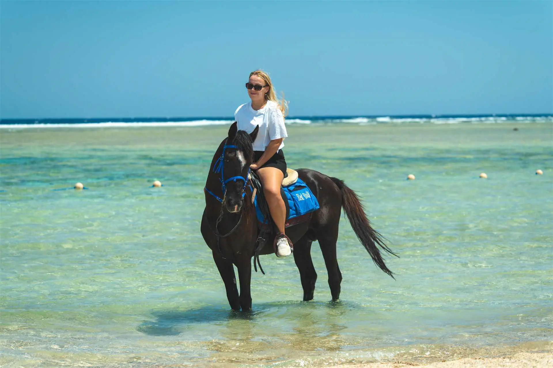 ACEL BEACH RESORT MARSA ALAM