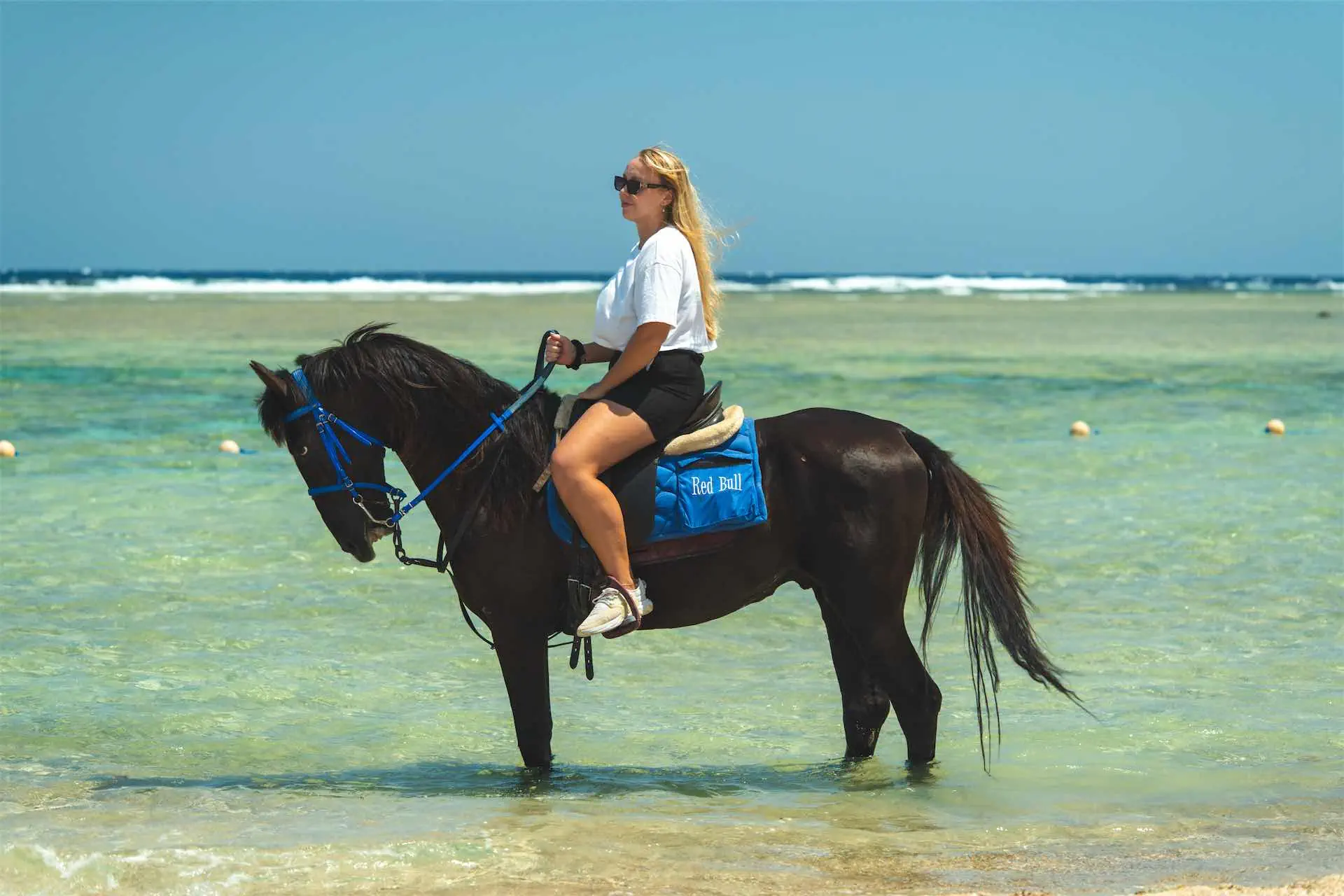 ACEL BEACH RESORT MARSA ALAM