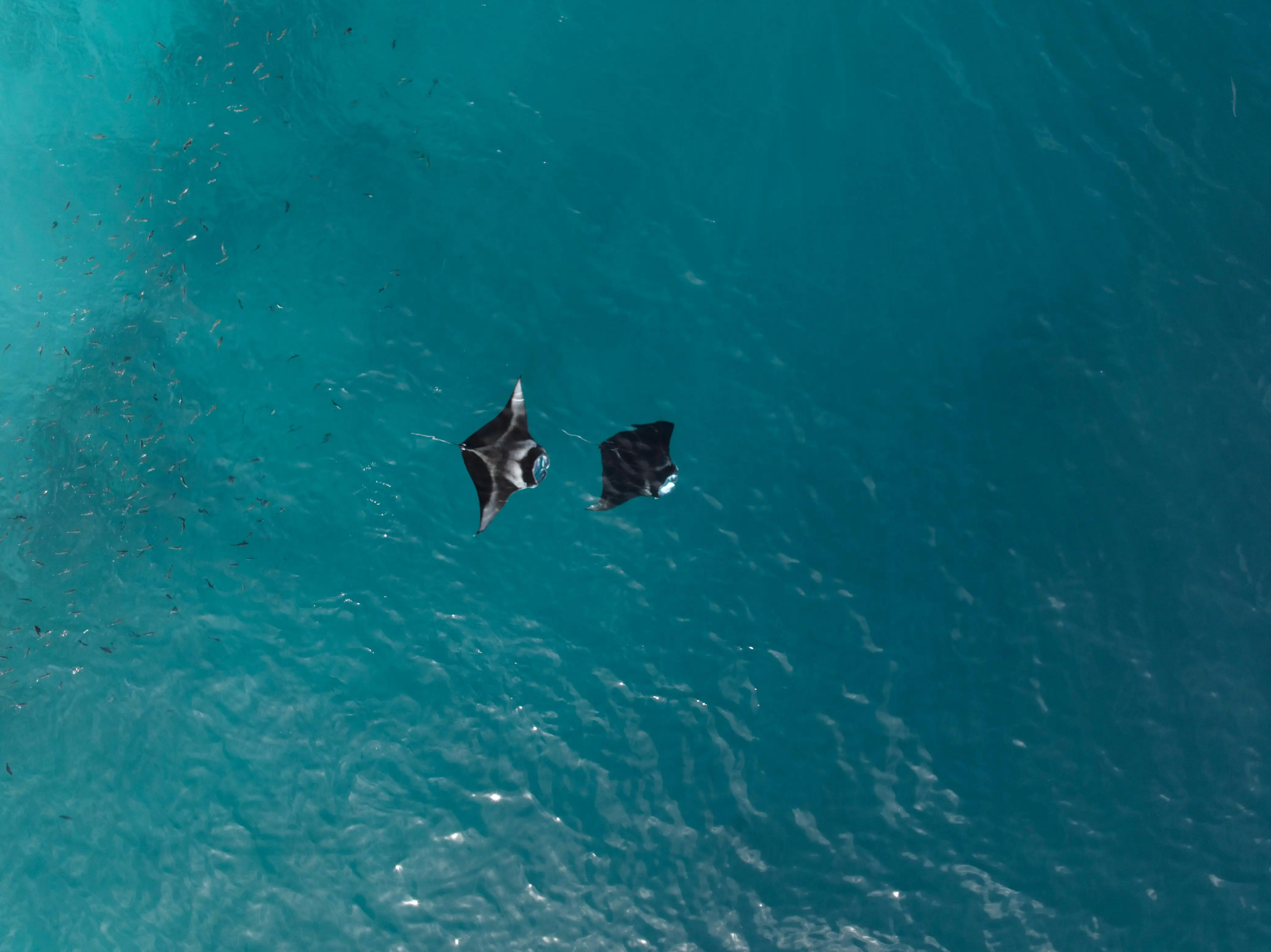 BIOSPHERE BY HAWKS HOTELS KAMADHOO BAA ATOLL