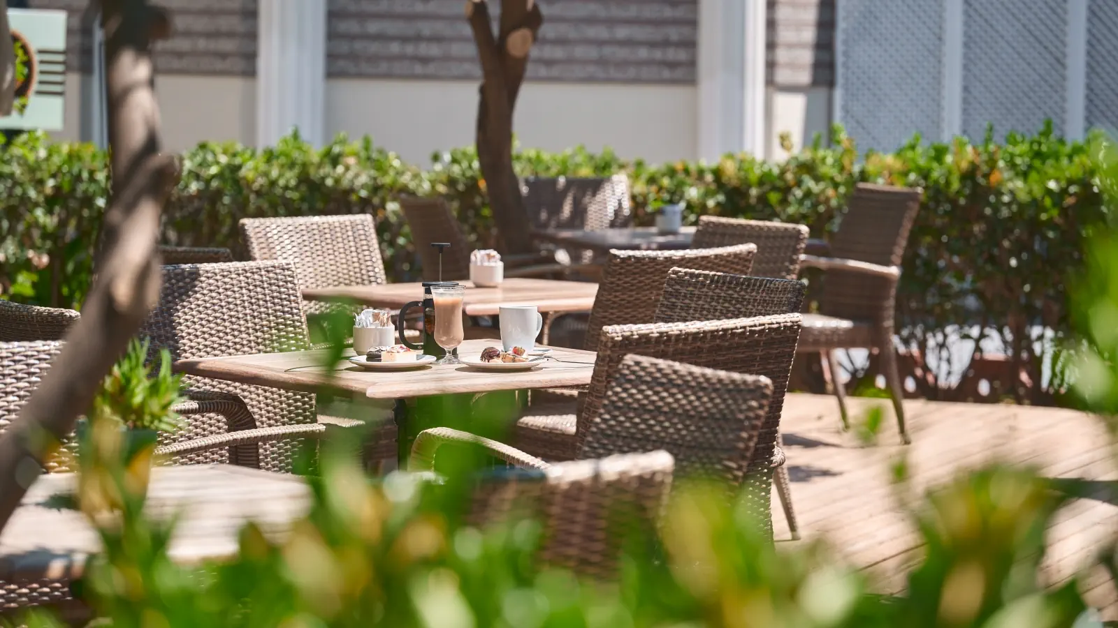 Marvida Club Palmeras Pascha - zdjęcie 55
