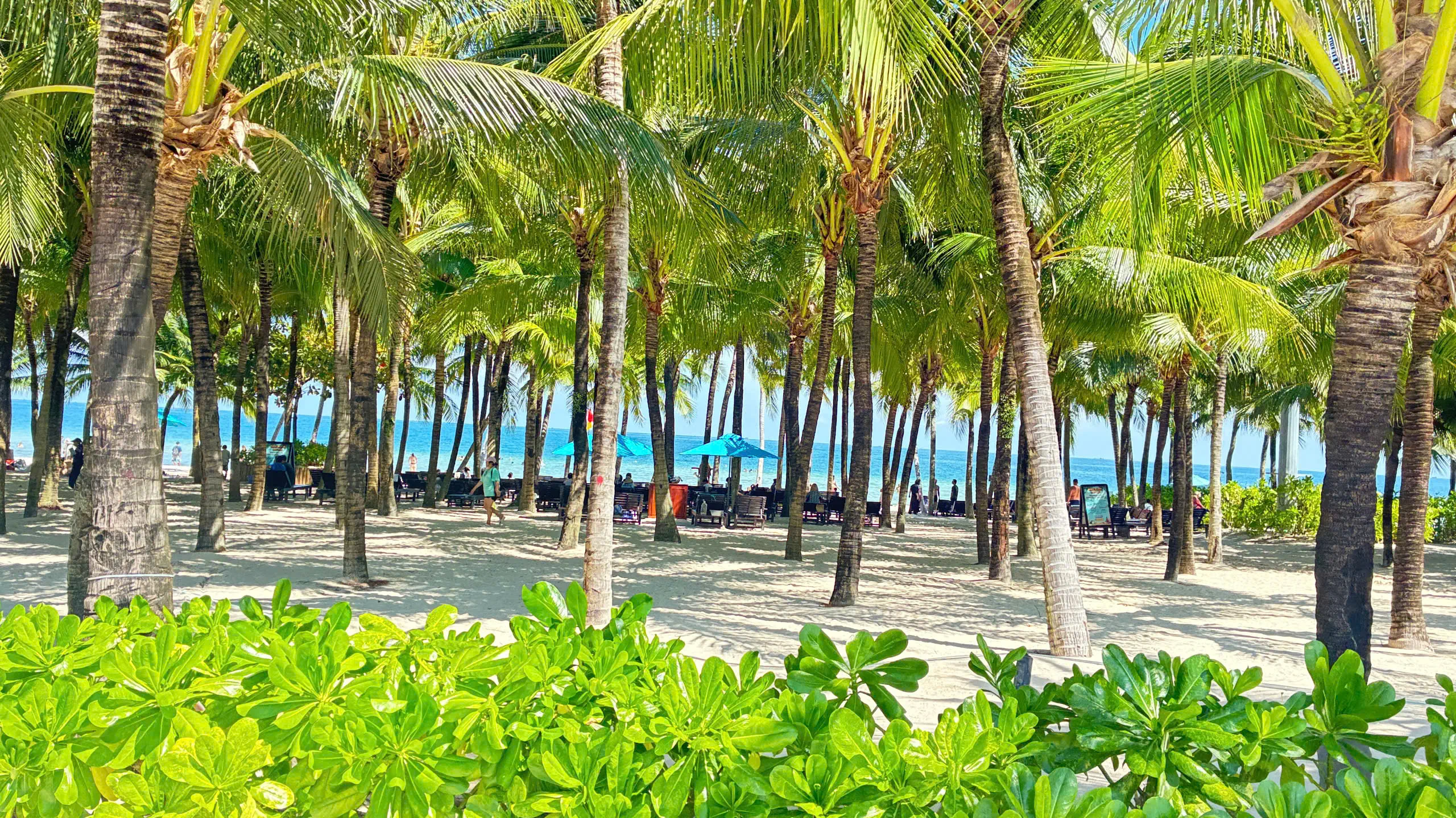 Premier Residences Phu Quoc Emerald Bay - zdjęcie 15