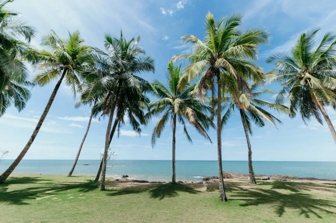 Khaolak Laguna Resort photo 1